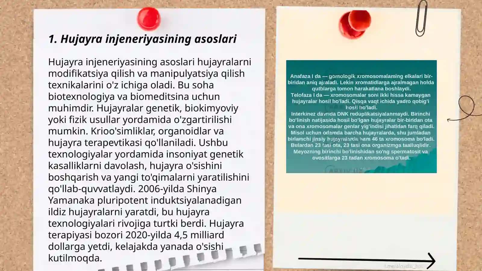 O’simliklarda hujayra muhandisligi 3