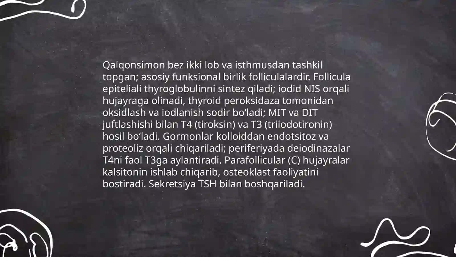 Gormonlar tizimi 3