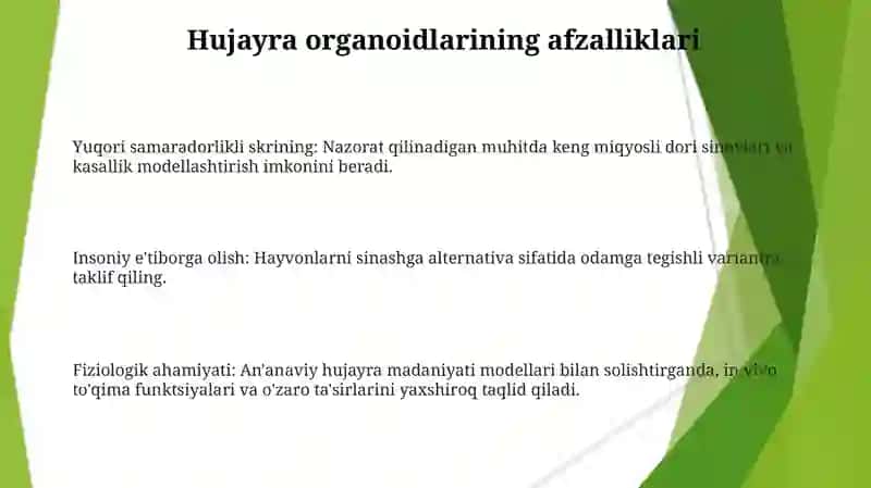 Hujayra Organoidlari 3