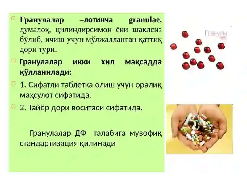 Гранулалар тарихи,тавсифи ва таснифи 3