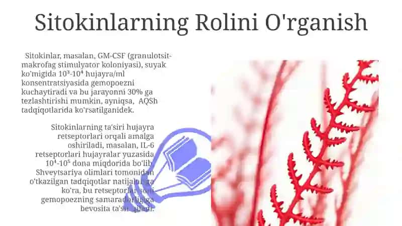 Sitokinlarning Rolini O'rganish 3