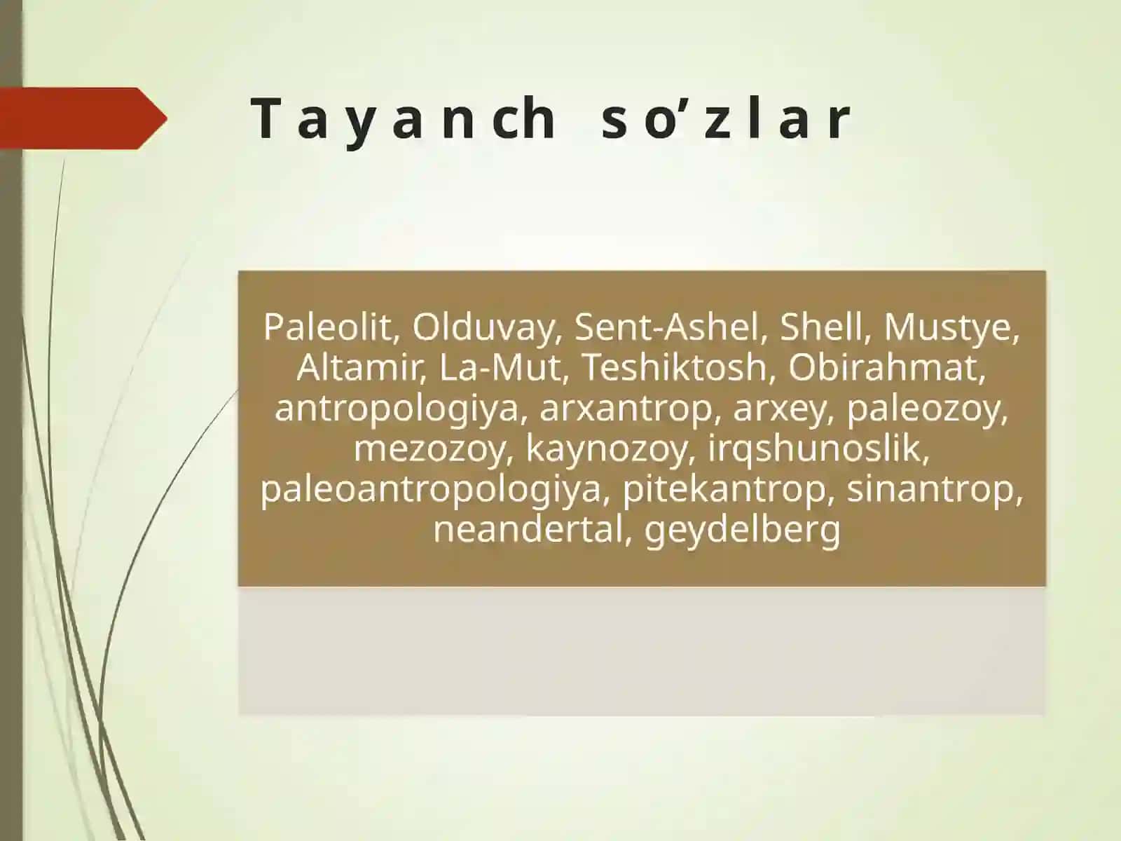 Paleolit davri arxeologiyasi 3
