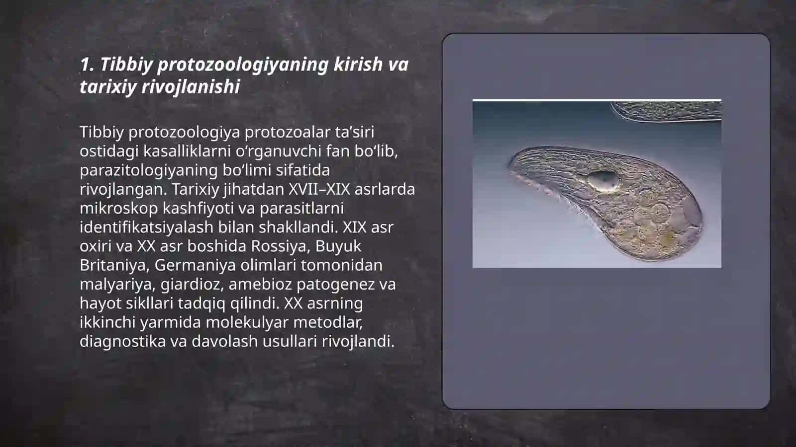 Tibbiy protozoologiya 3