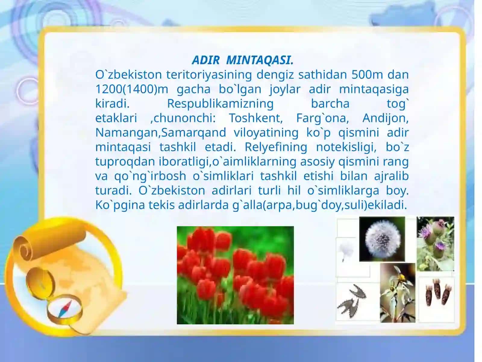 6-sinf Botanika dars ishlanma. Adir, tog' va yaylov o'simliklari 3