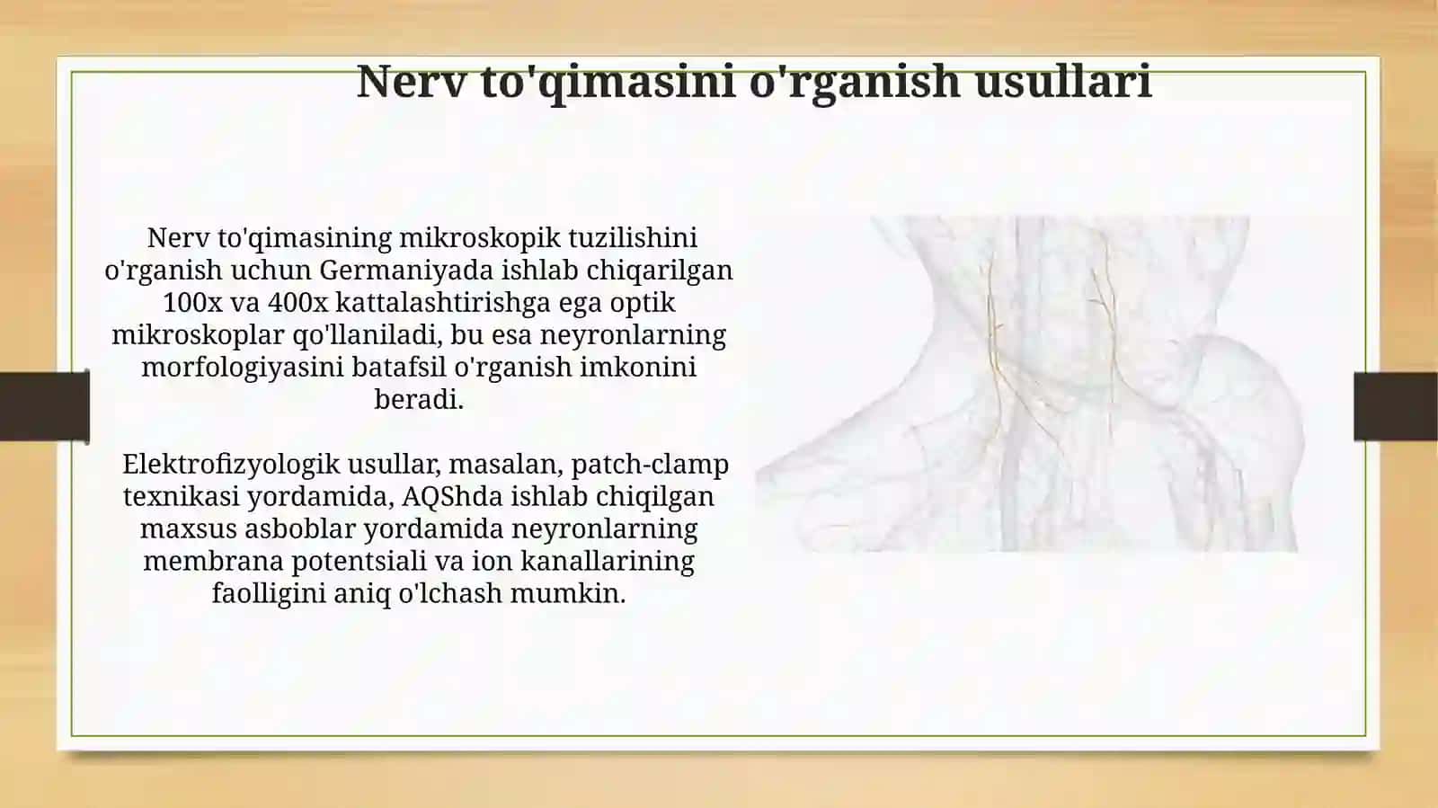 Nerv toqimasi 3