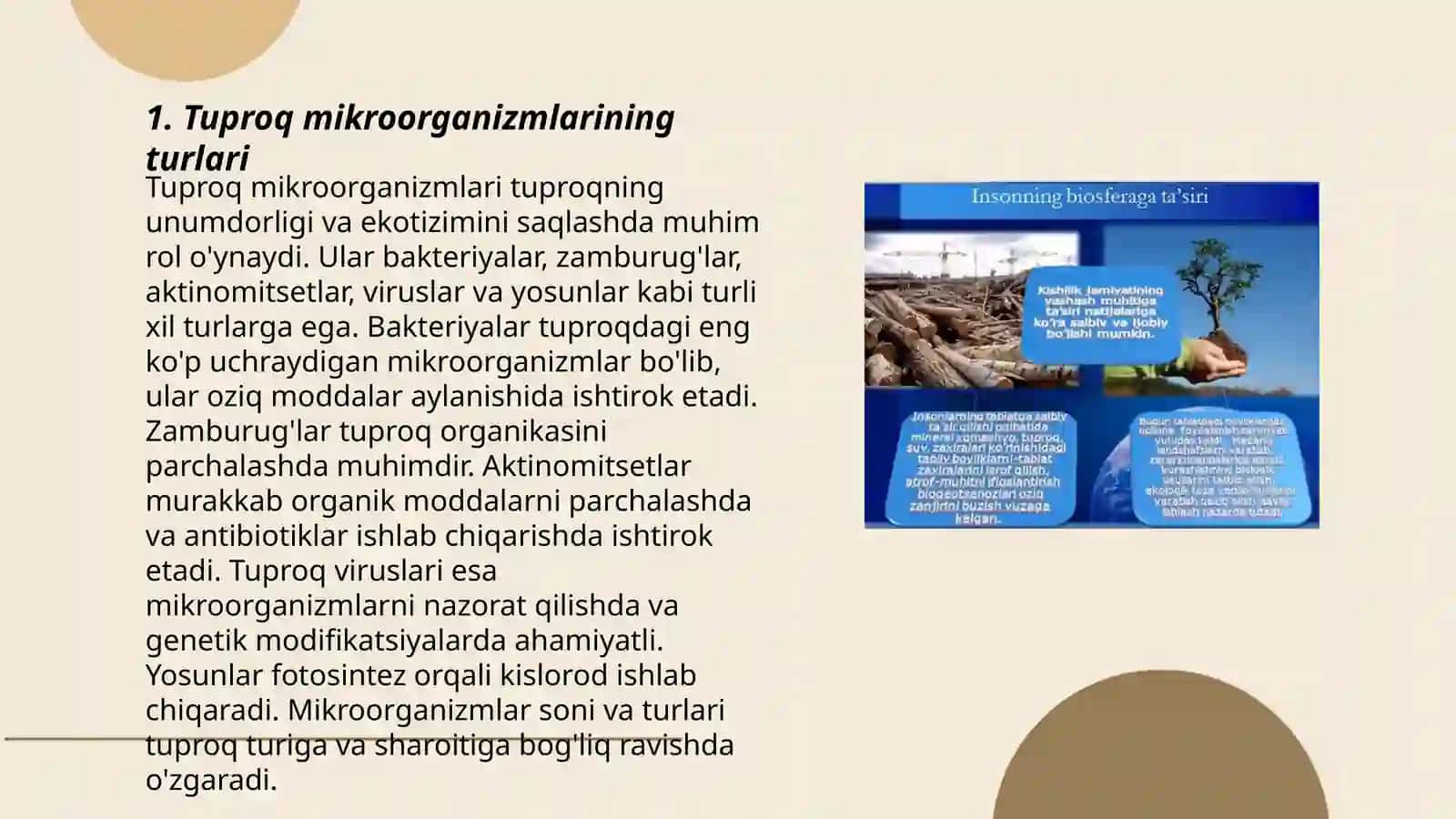 Tuproq muhitining mikrorganizmlari 3