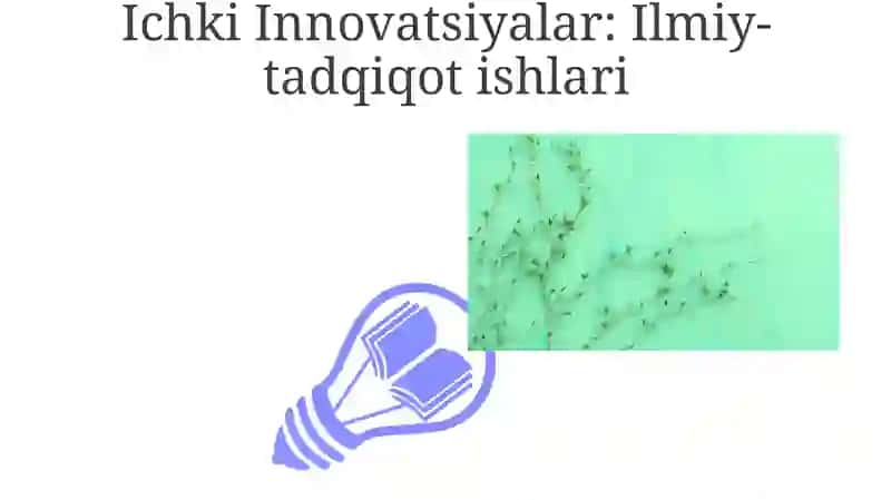 Ichki va tashqi omillarning ahamiyati 3