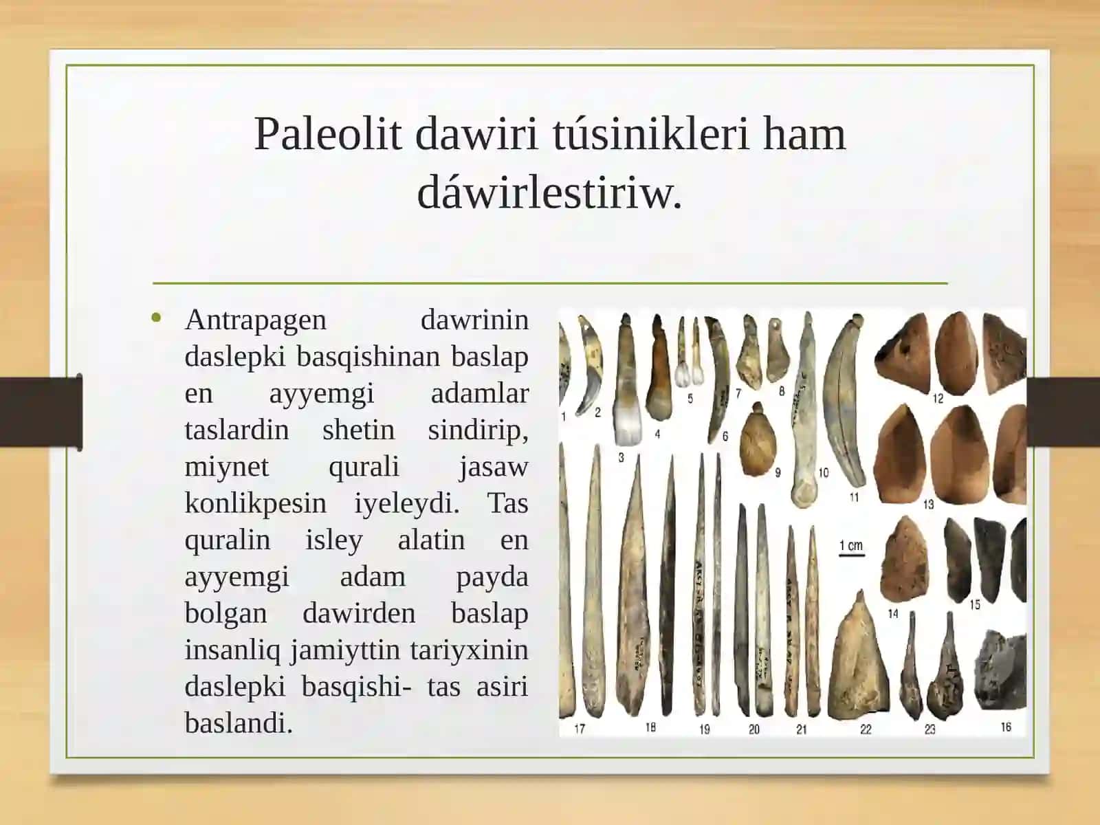 Orta paleolit dáwir jetiskenlikleri 3