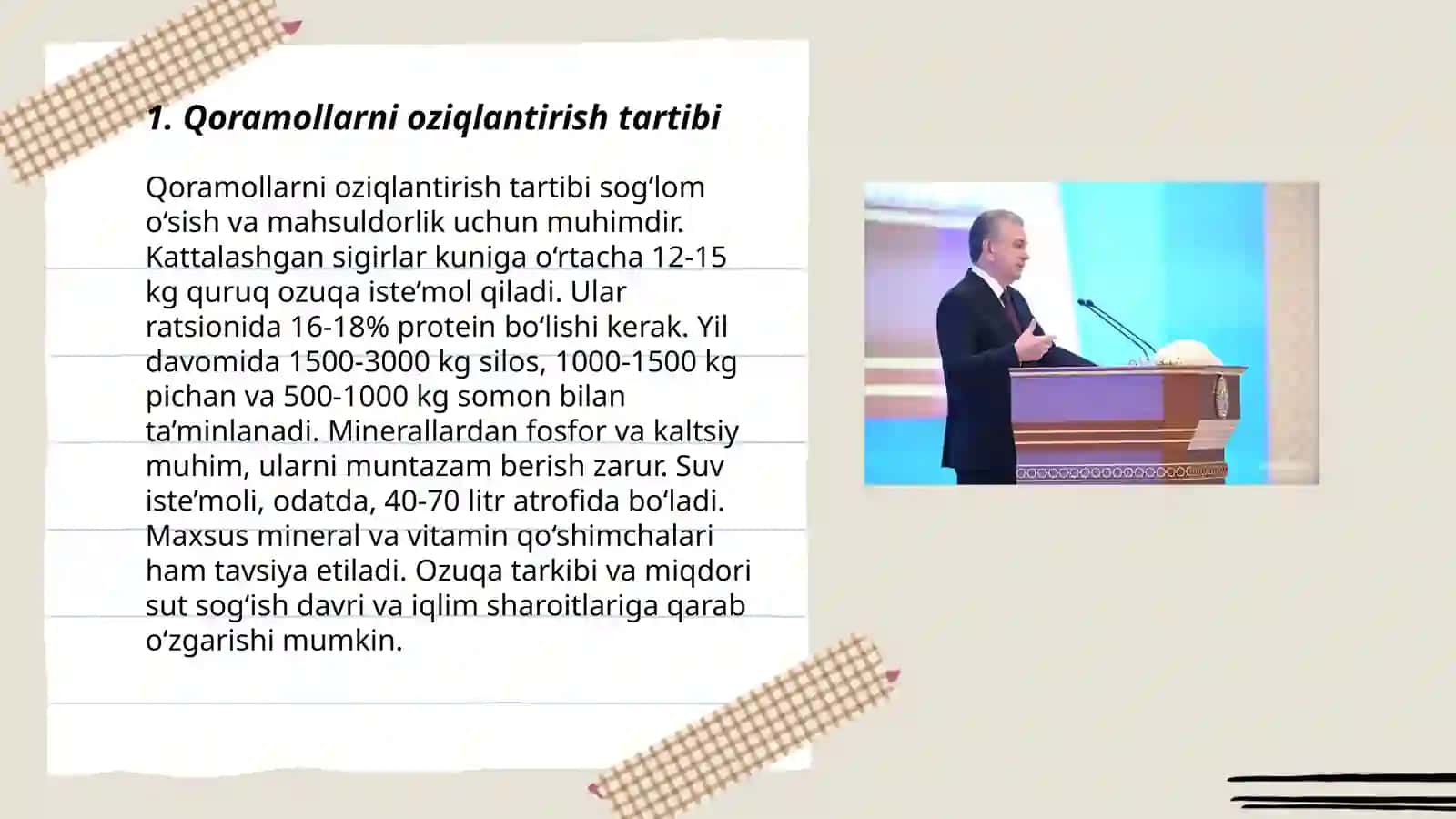 Qoramollarni oziqlantirish tartibi 3