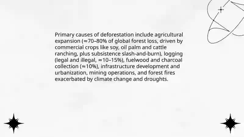 Deforestation 3