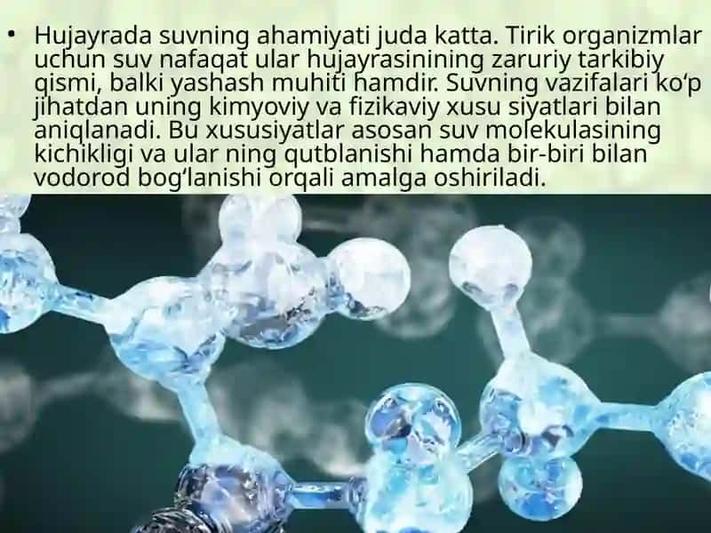 Hujayrada suvning ahamiyati 3