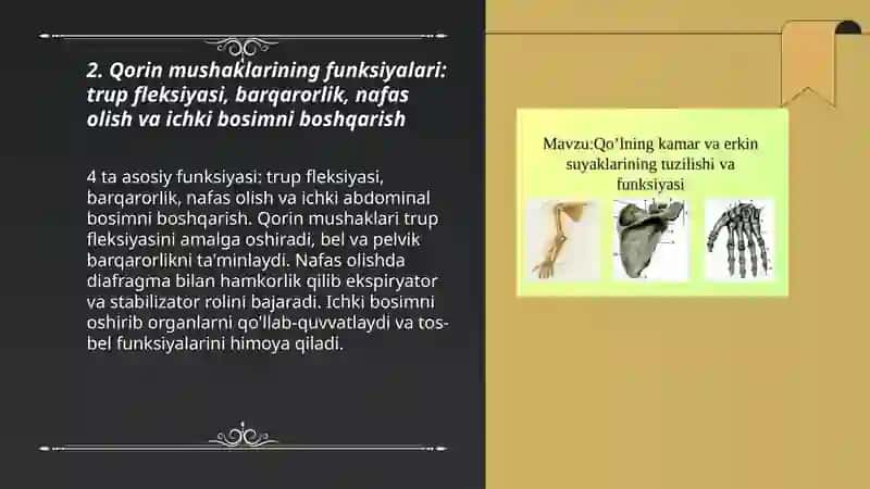 Qulning erkin suyaklari 3