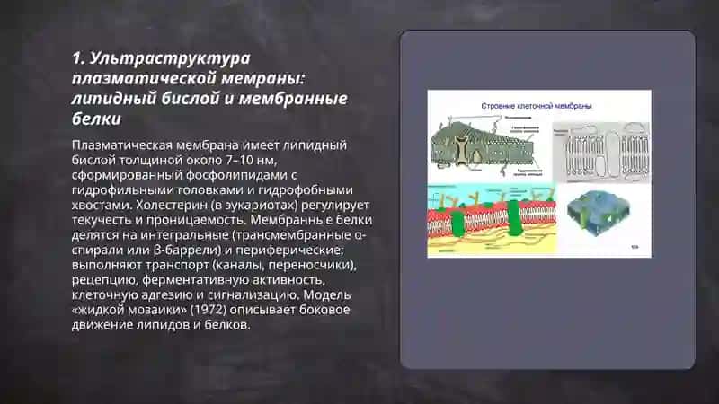 Биология клеток 3