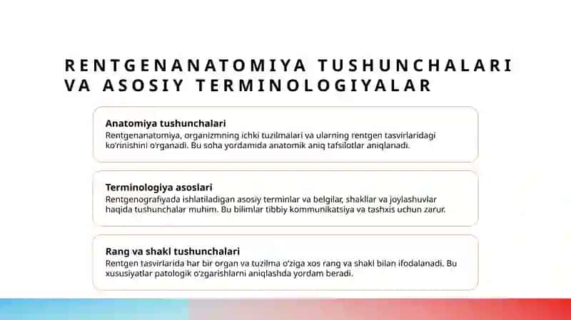 Hazma’zolarining rentgenanatomiyasi 3