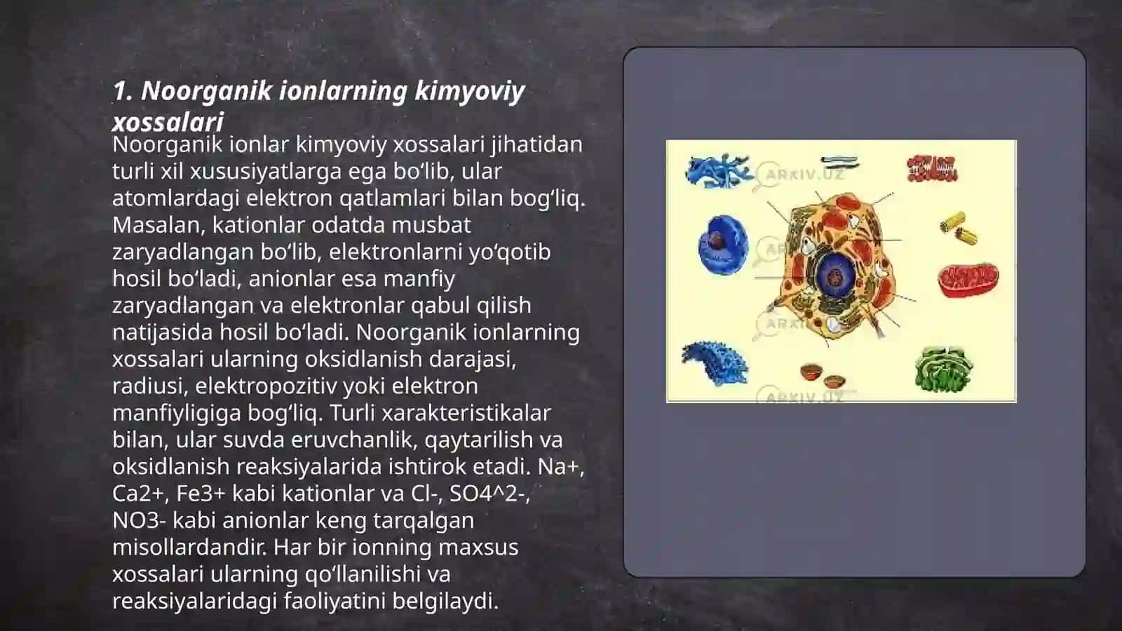 Noorganik ionlar va ularning funksiyalari 3