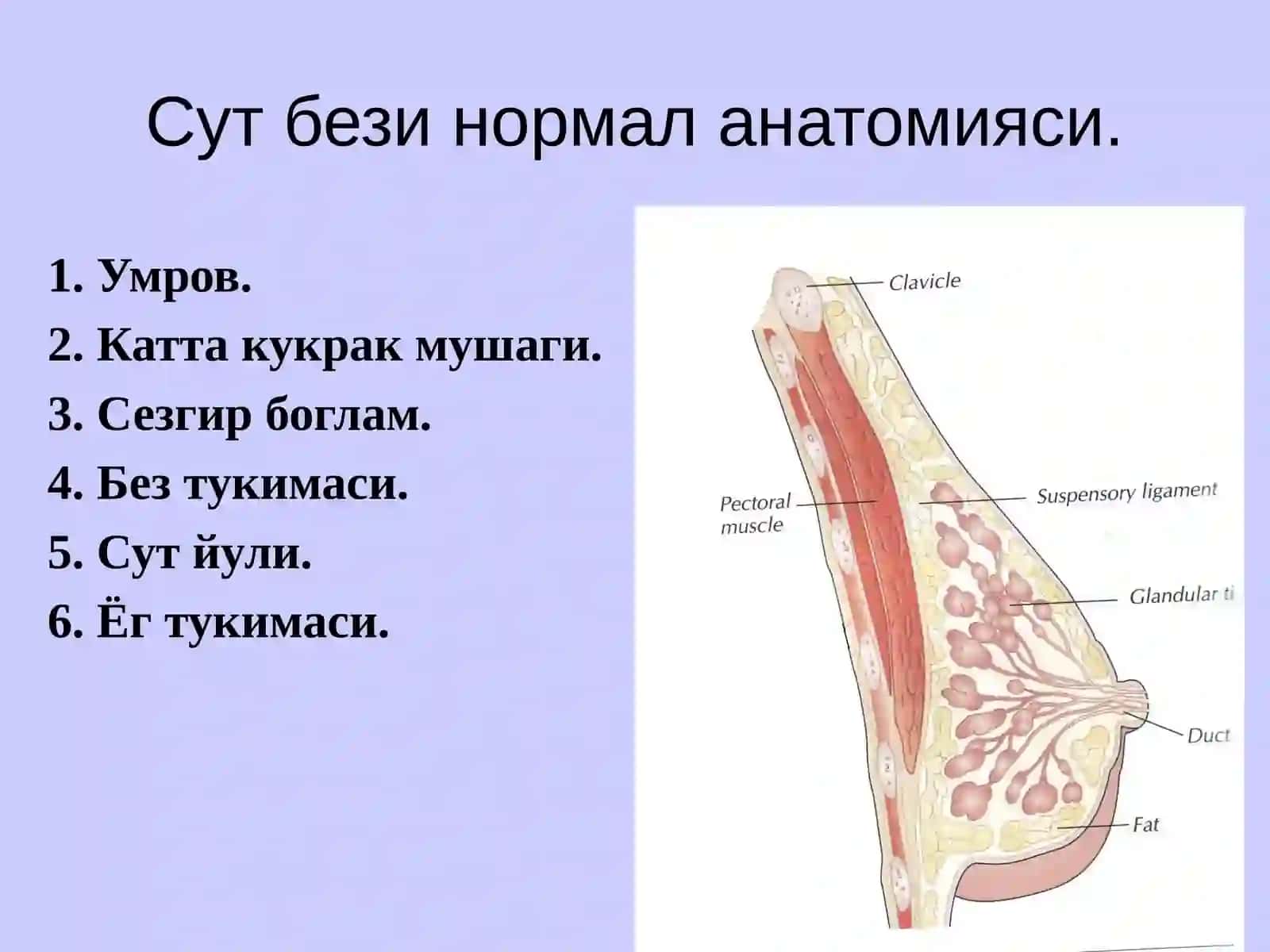 Сут бeзи саратони 3