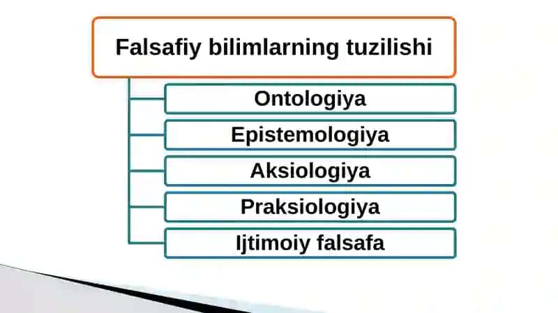 Borliq haqidagi ta'limot 3