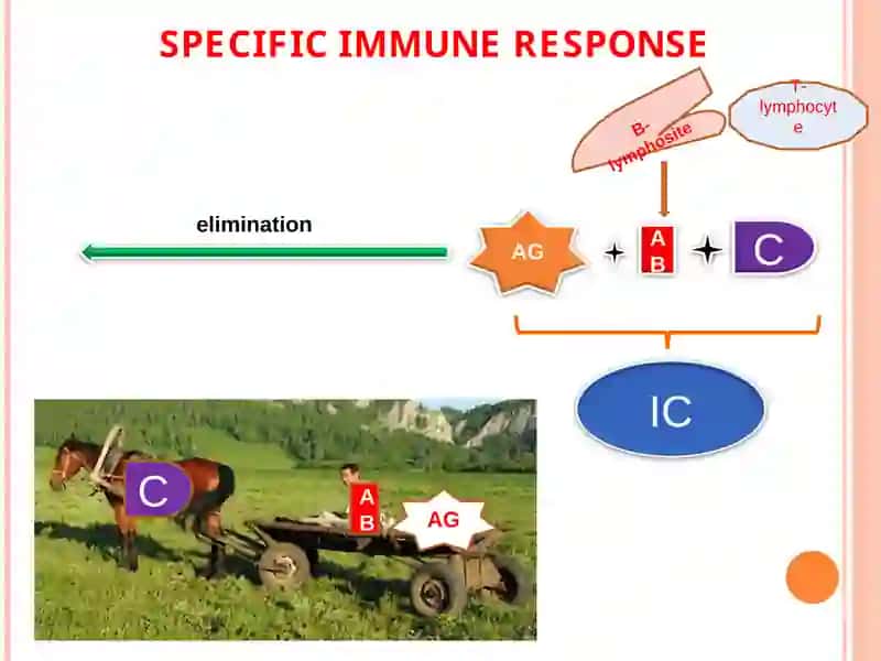 Differential diagnosis of Diffuse Connective Tissue Diseases 3