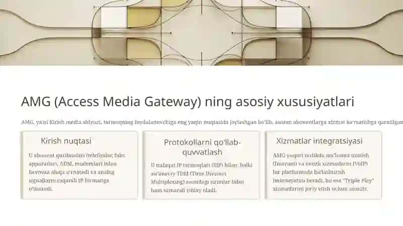 AMG, TMG, UMG,DSLAM media shlyuzlarining xarakteristikalari 3