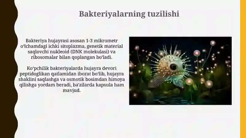 Ko'rinmas olam - Bakteriyalar 3