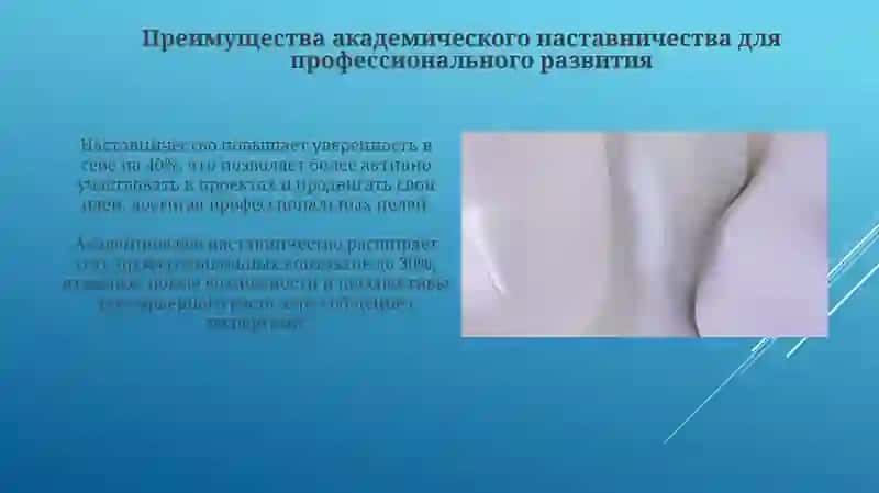 Академик наставничество 3
