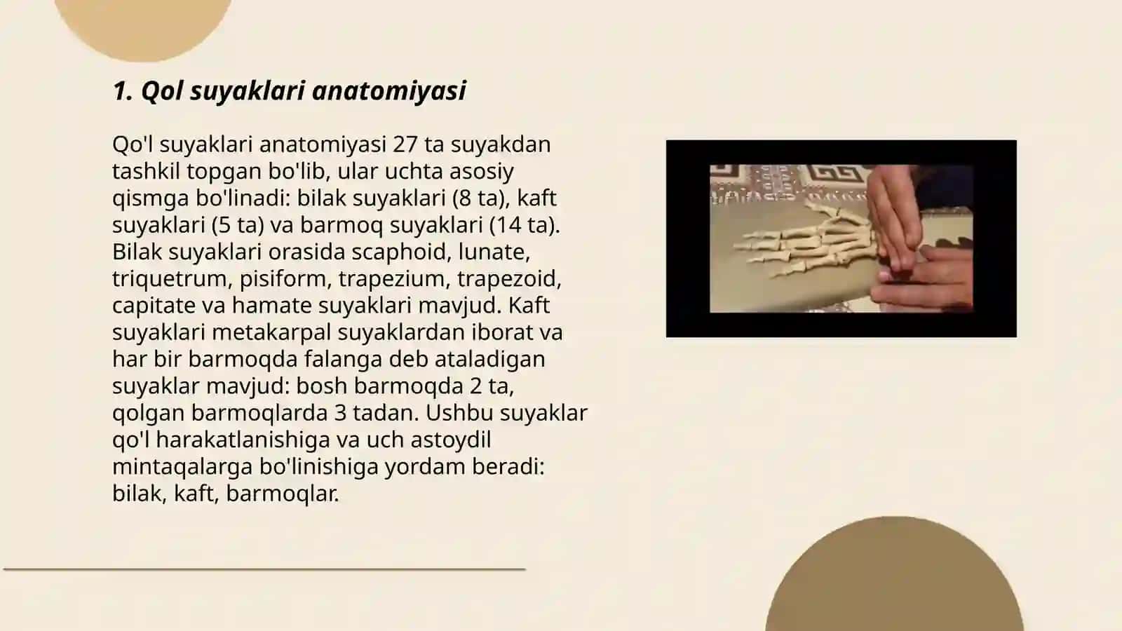 Qol va gavda skleti suyaklari 3