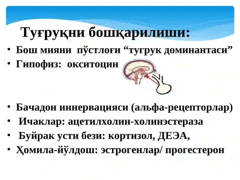 Чакалоклар реанимацияси 3