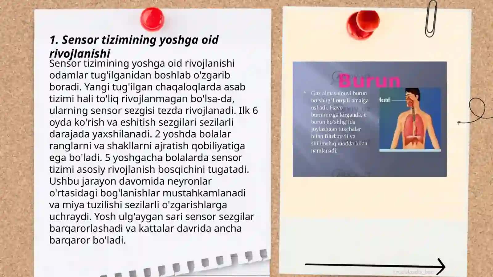 Sensor tizimining yoshga oid rivojlanishi 3