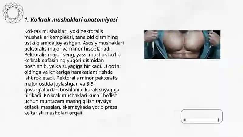 Koʻkrak mushaklari anatomiyasi 3