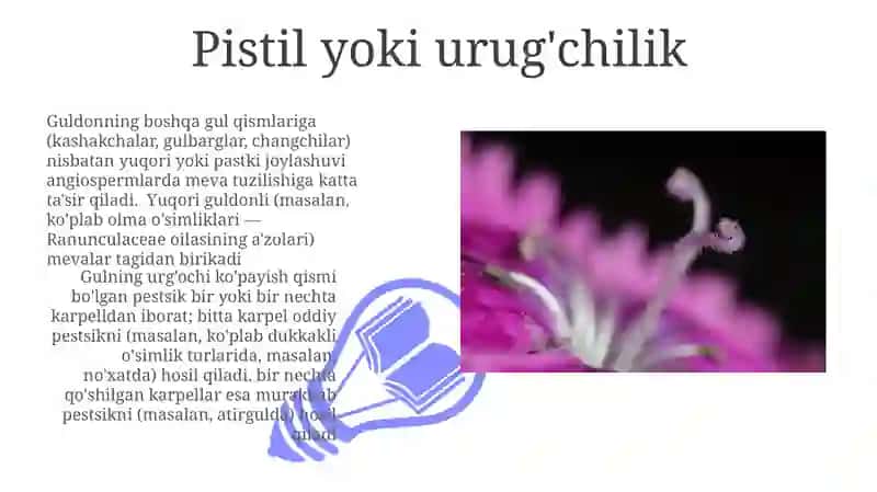 Gul qismlari 3