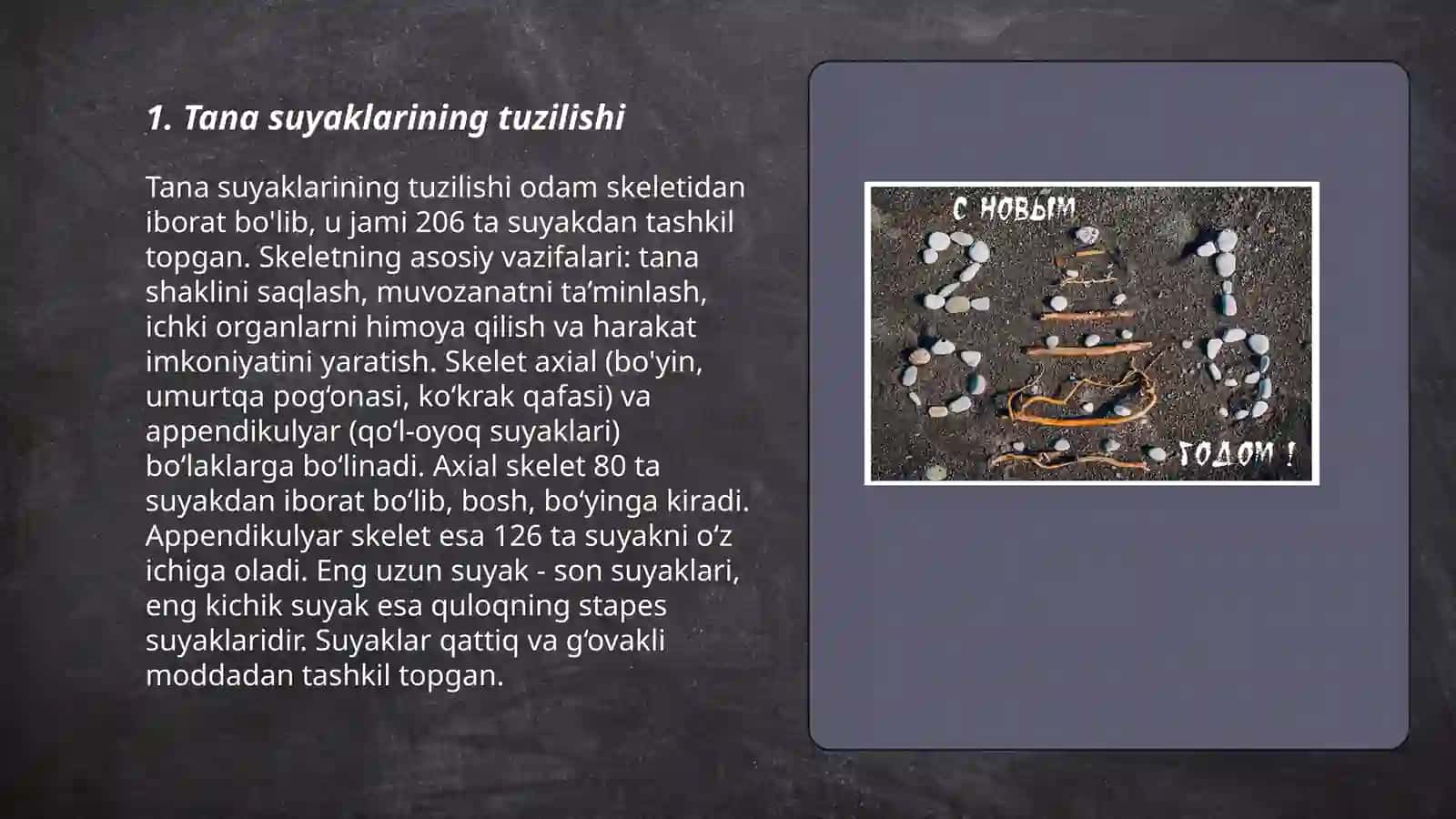 Tana suyaklari 3
