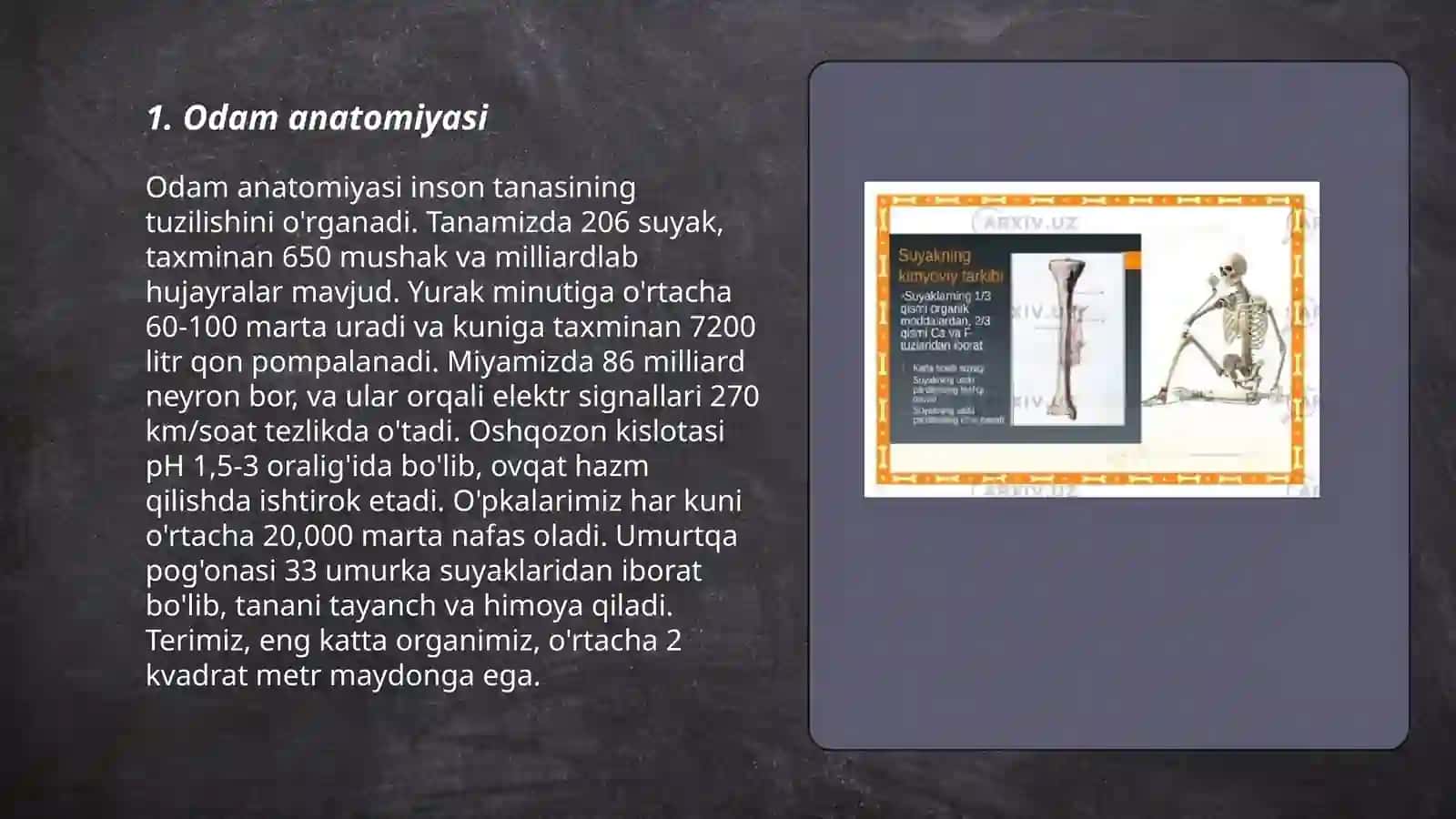 Odam auyaglari 3