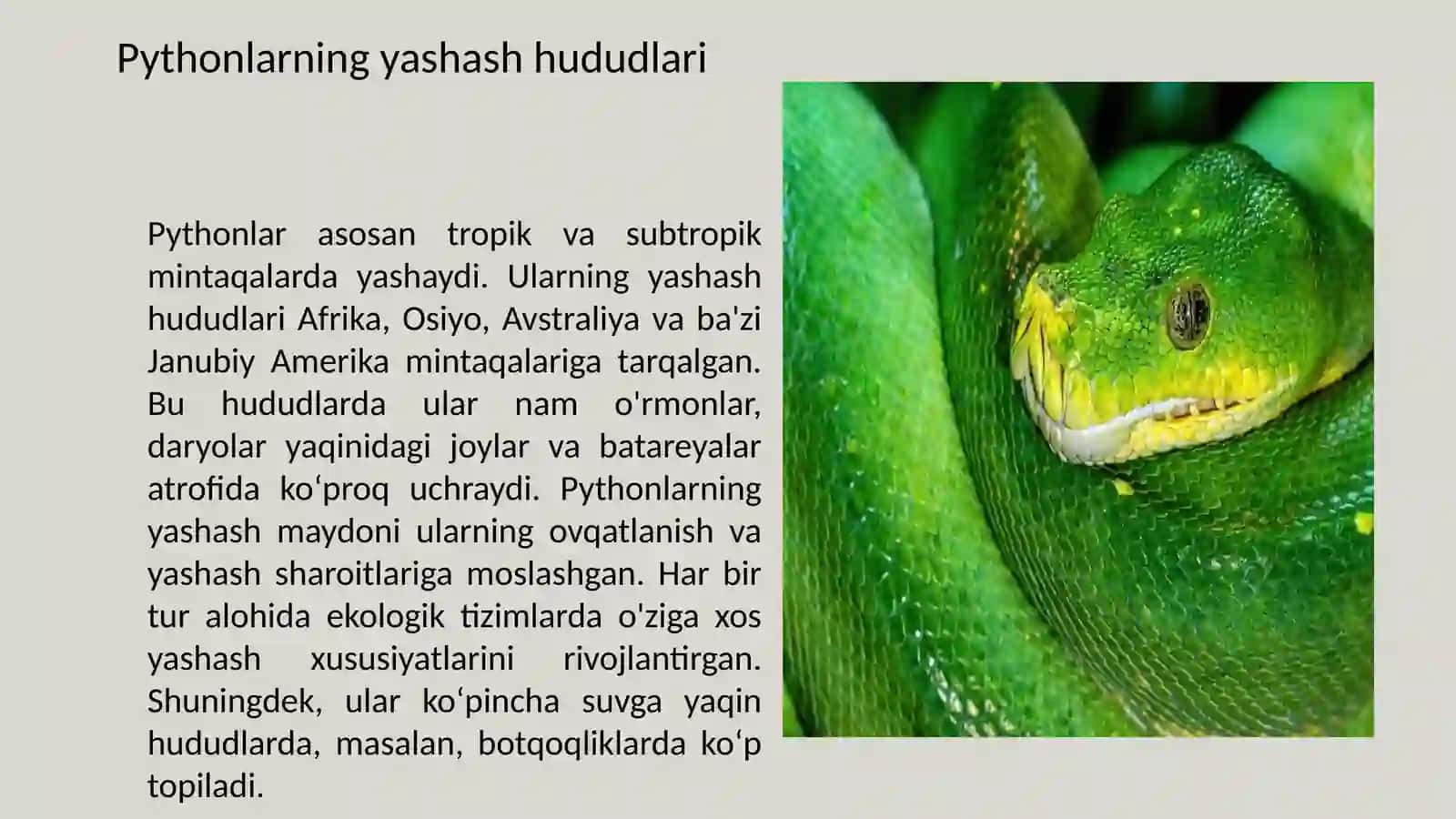 Pythonlar qayerda eng ko'p tarqalgan 3