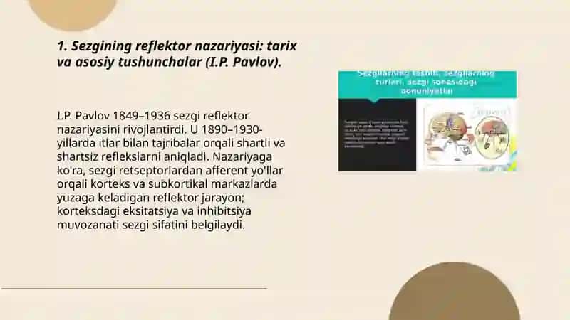 Sezgining reflektor va retseptor nazariyalari 3