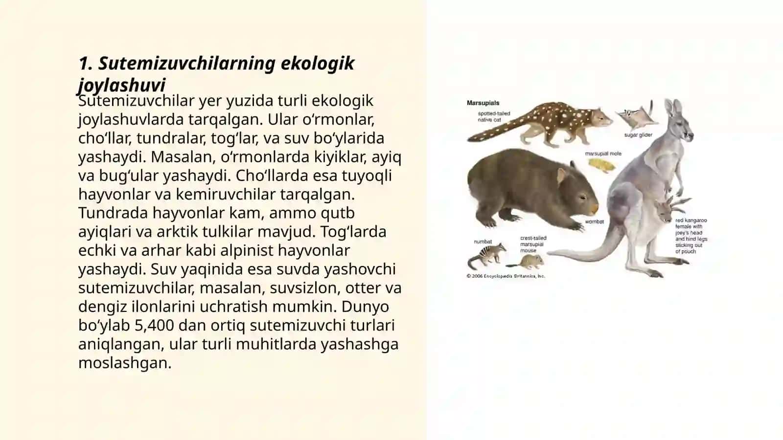 Sutemizuvchilarning ekologik joylashuvi 3