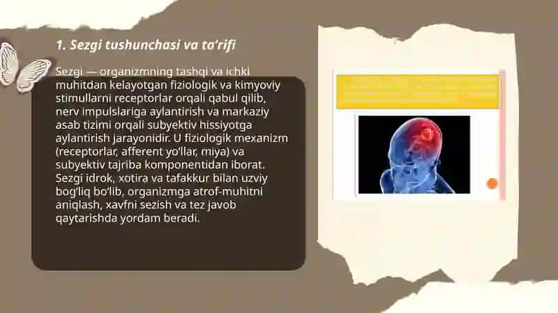 Sezgi haqida umumiy tushuncha 3