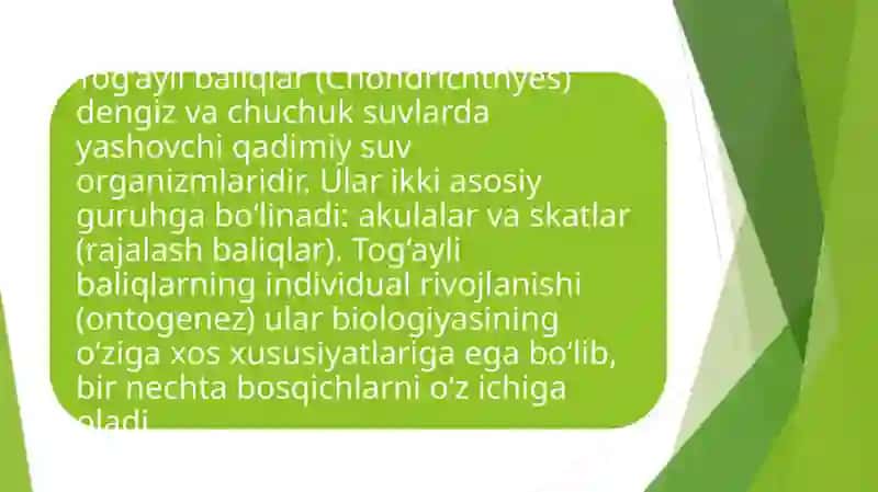 Tog‘ayli baliqlarning individual rivojlanish xususiyatlari 3