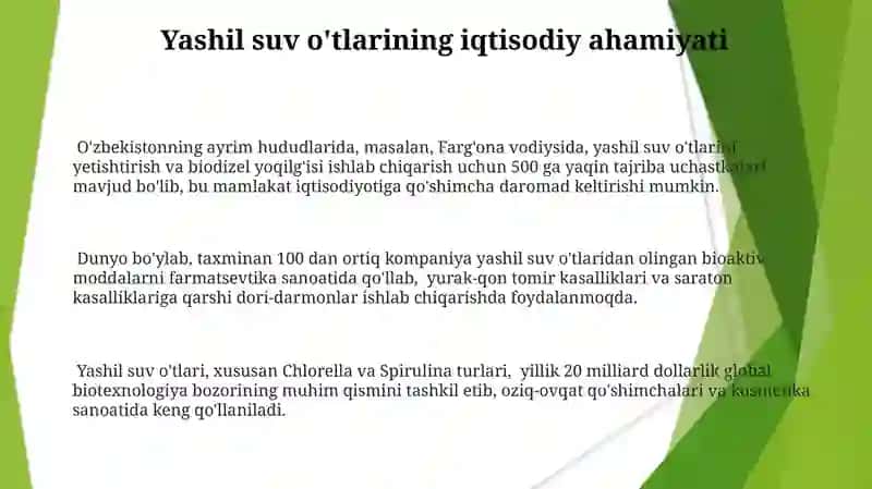 Suv oʻtlar koʻk yashil suvoʻtlar 3