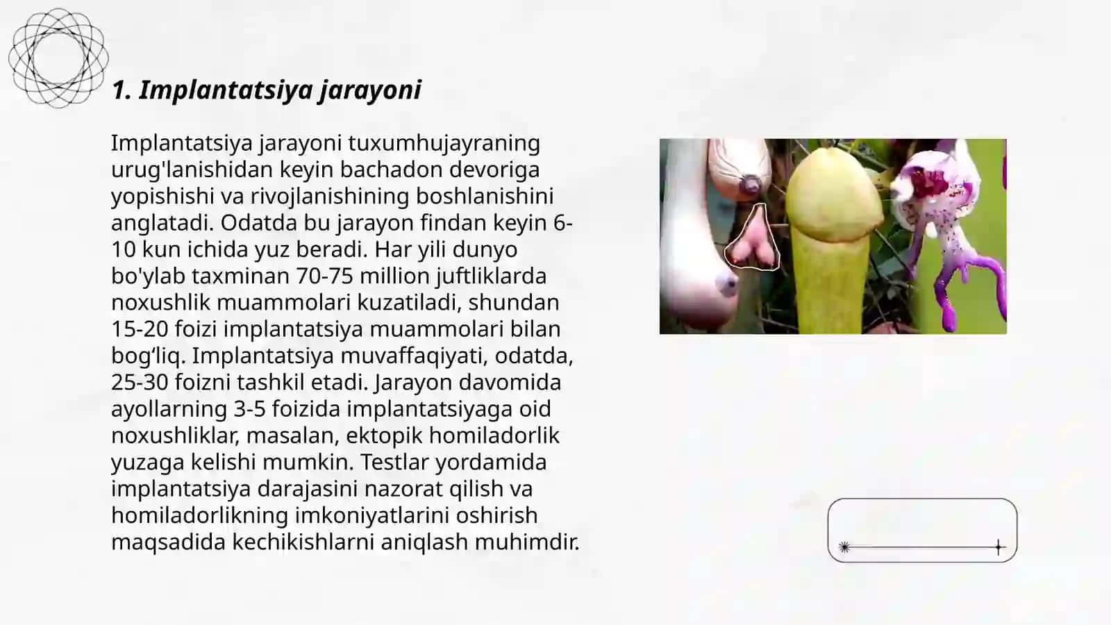 Implantatsiya jarayoni 3