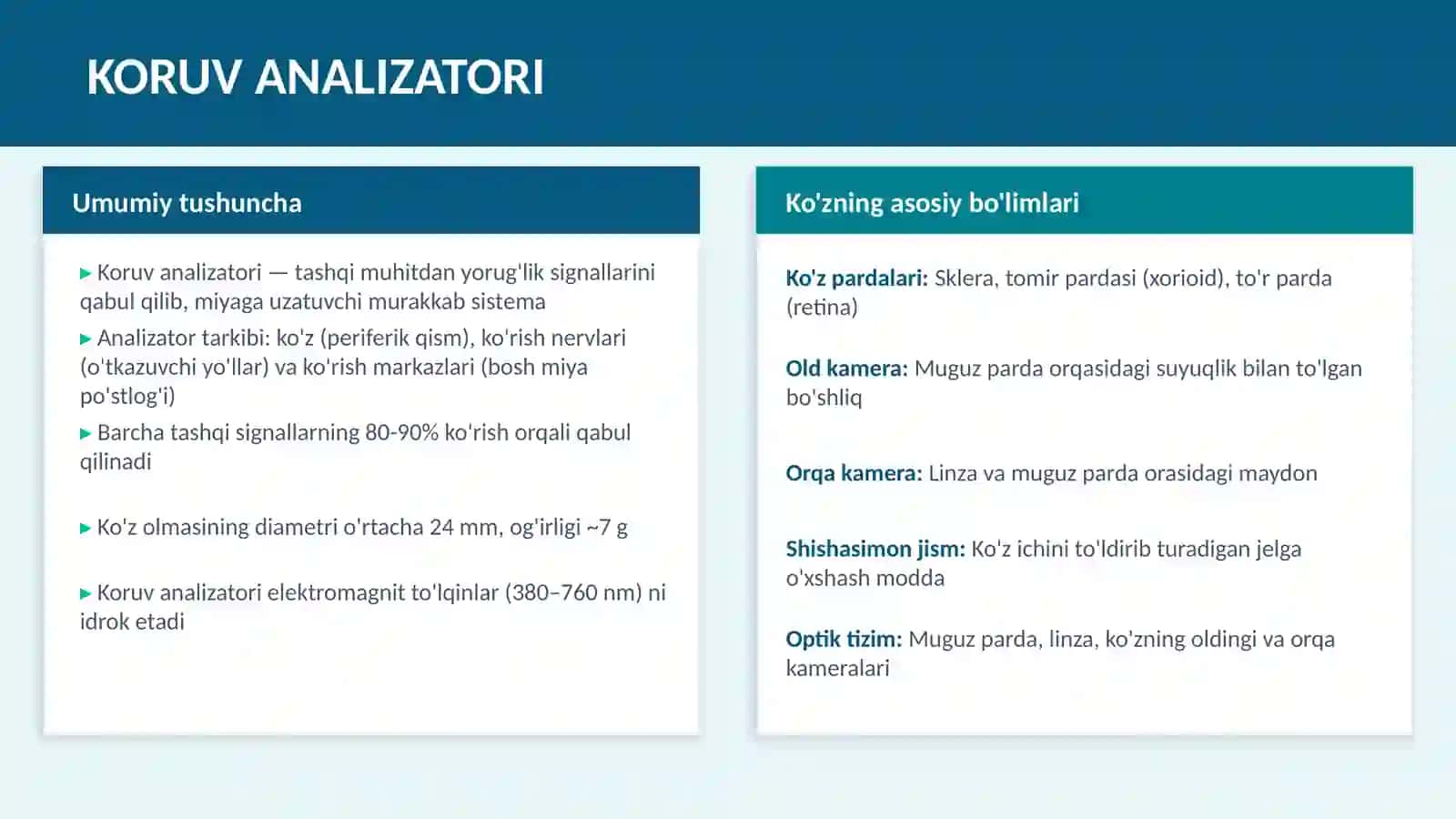 Koruv analizatori 3