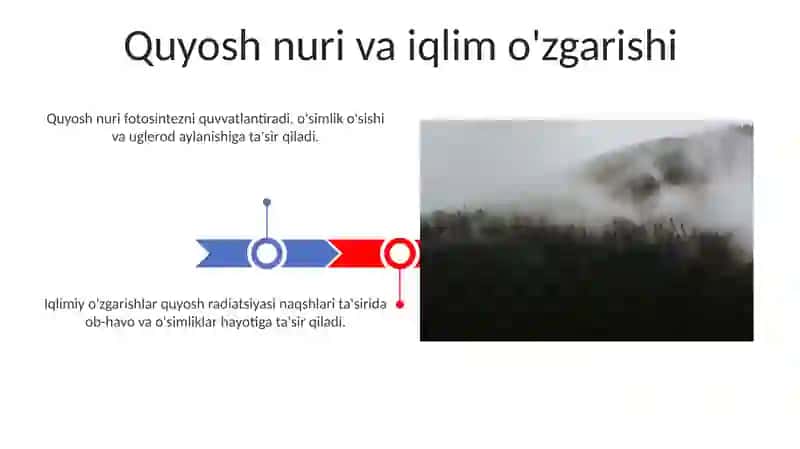 Insonning tabiatga tasiri 3