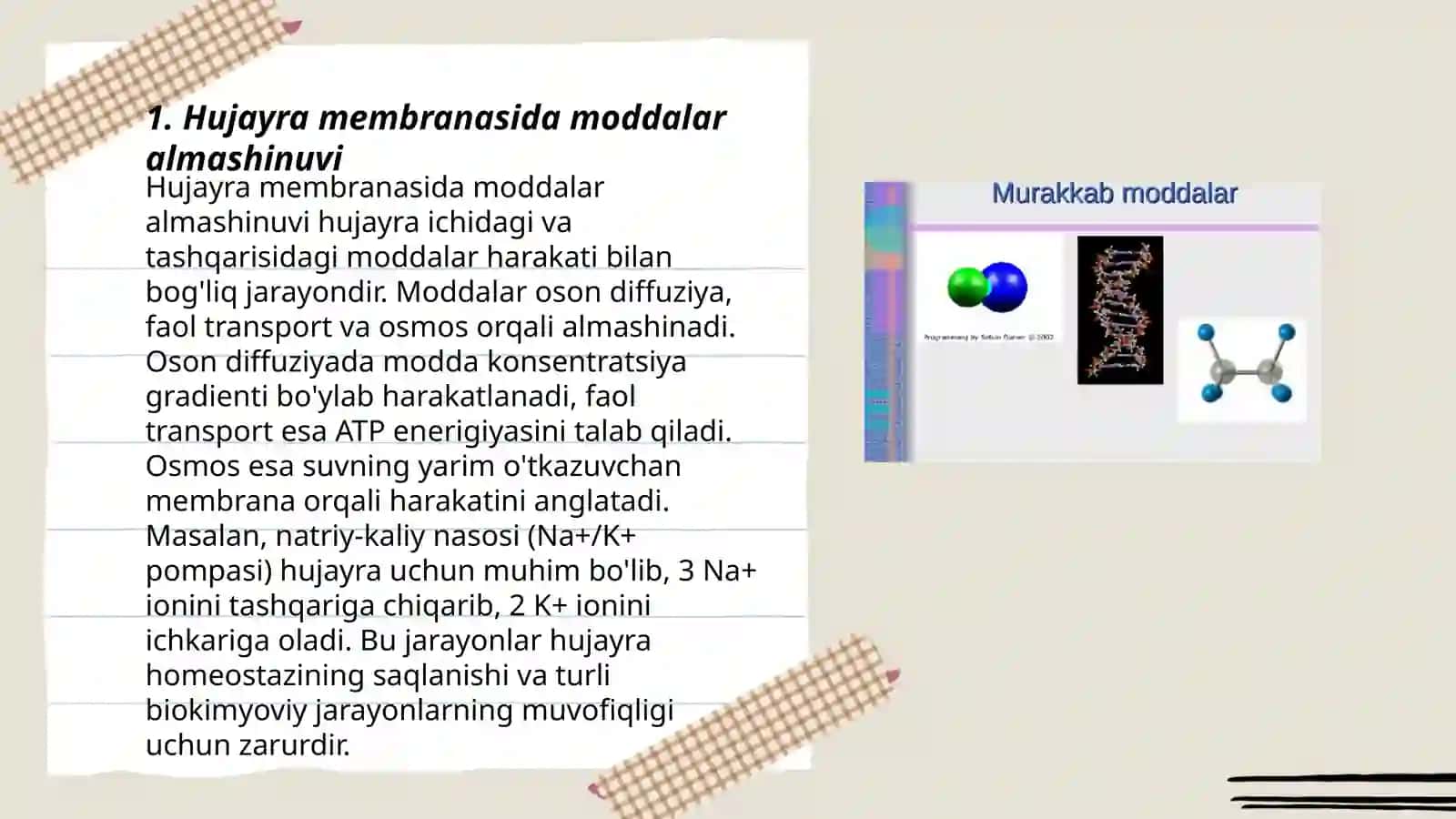Hujayrada moddalar, energiya va maʼlumotlar oqimi 3