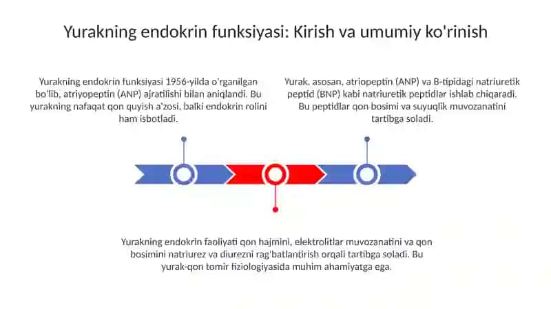 Yurakning endokrin vazifasi 3