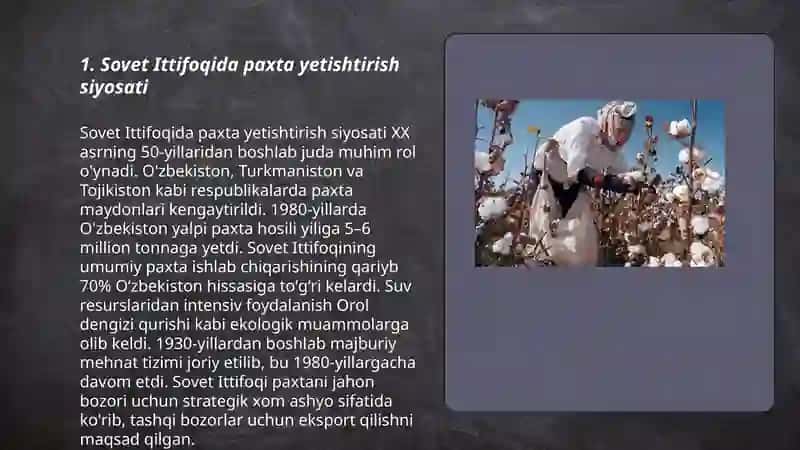 Sovet Ittifoqida paxta yetishtirish siyosati 3
