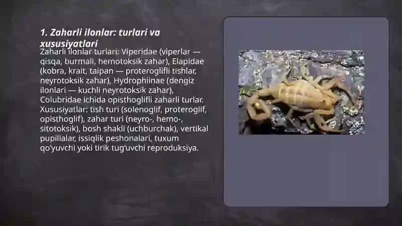 Zaharli hayvonlar 3