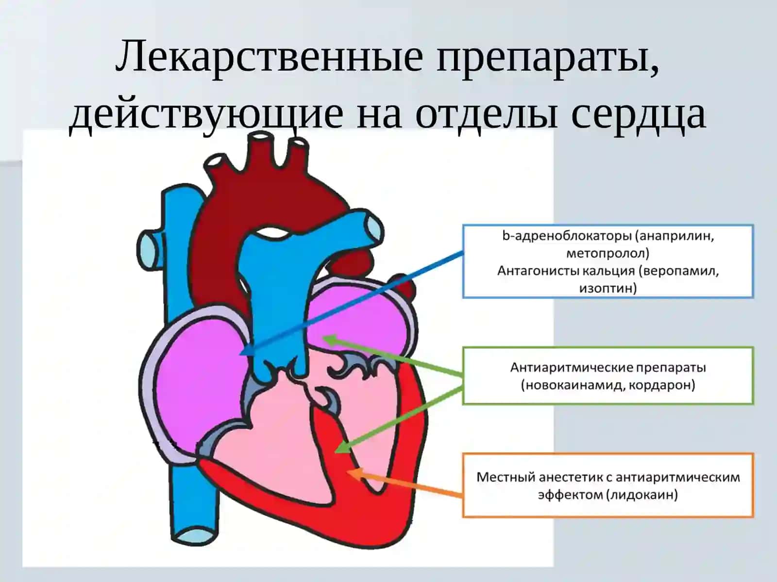 ЭЛЕКТРОКАРДИОГРАФИЯ 3