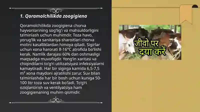 Qoramolchilik 3