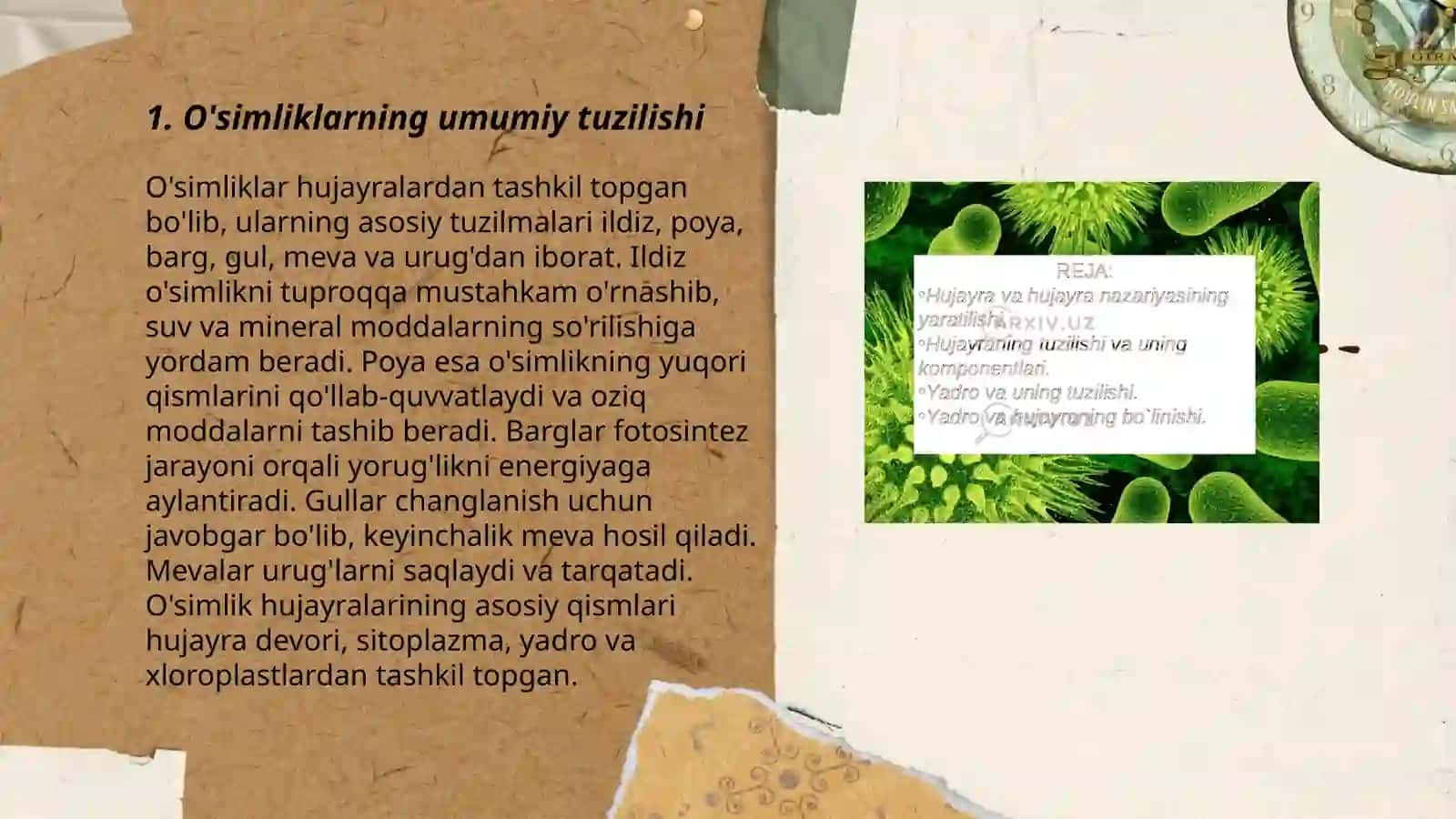 Immunologiya fani 3