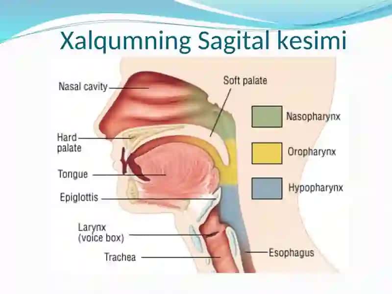 Xalqum qismlari 3