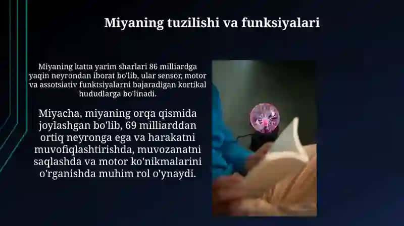 Ruhiy jarayonlar: Ta'riflar va turlari 3